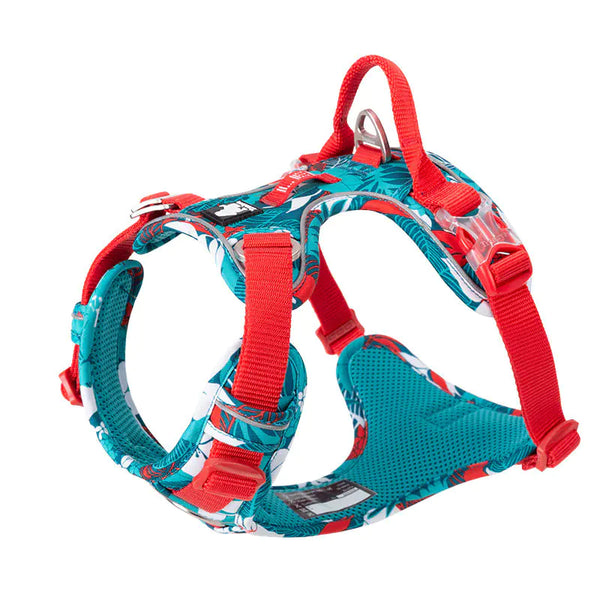 Dog Leashes and Chain Vest Straps - In Paw Store