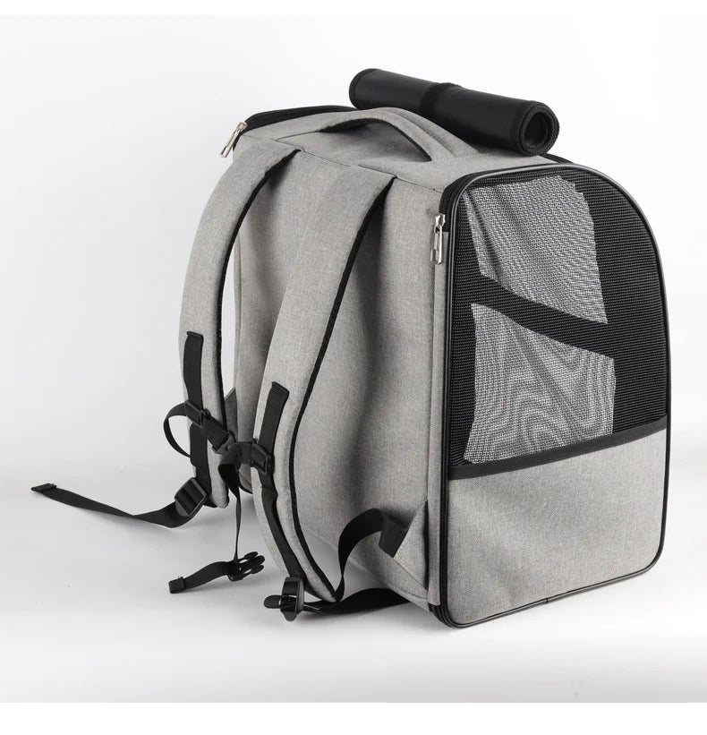 Pet Carrier - In Paw Store