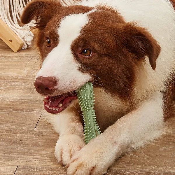 Dog Toothbrush Chew Toys for Teeth Cleaning and Fun - In Paw Store