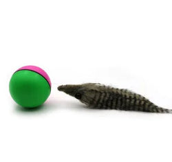 Electric Beaver Ball Water Toy for Bath Time Fun