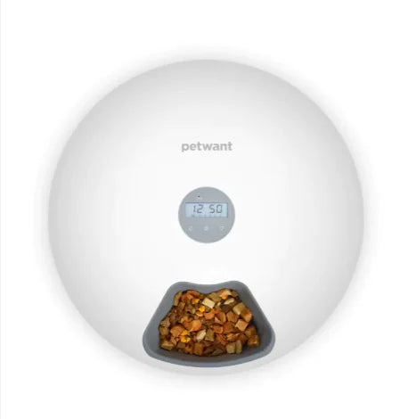 Automatic Pet Feeder for Cats & Dogs - In Paw Store