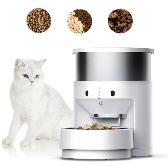 Automatic Pet Feeder - In Paw Store