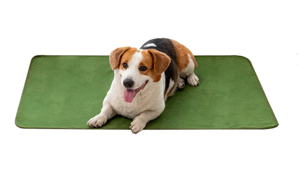 Pet Training Pads - In Paw Store