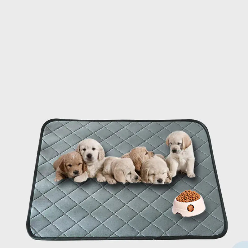 Washable Pet Dog Pee Pads with Quick Drying Feature - In Paw Store