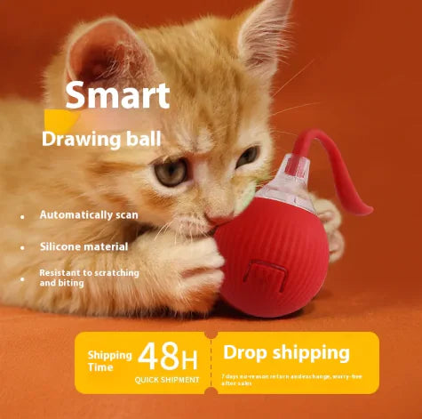 Interactive Cat Toy Ball - In Paw Store