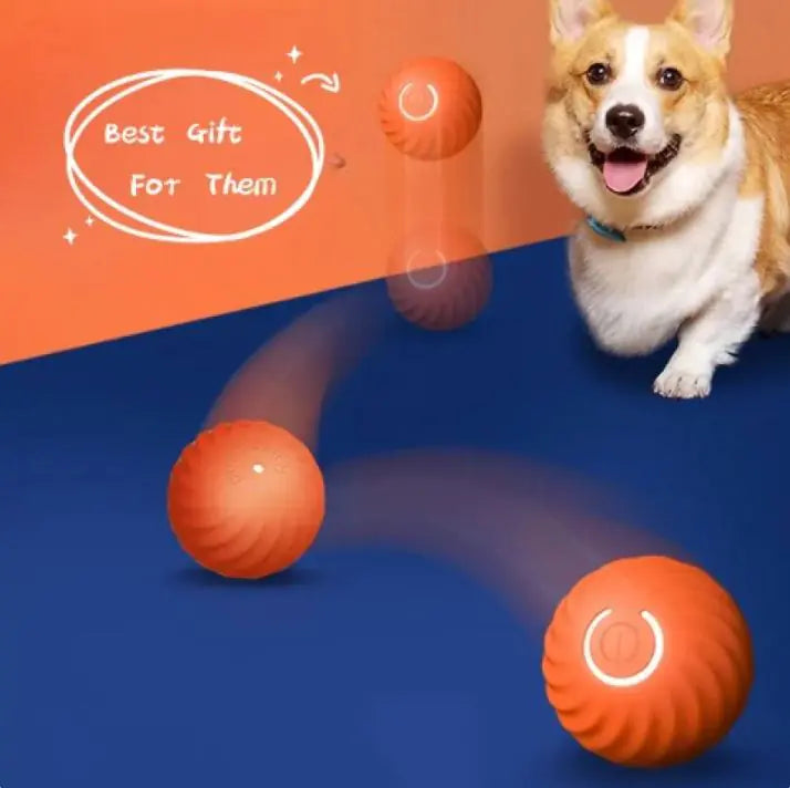 Rubber Ball Toys For Dogs - In Paw Store