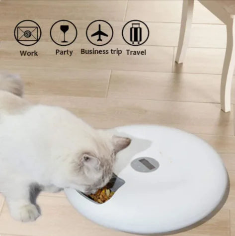 Automatic Pet Feeder for Cats & Dogs - In Paw Store