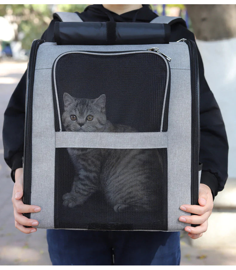 Pet Carrier - In Paw Store
