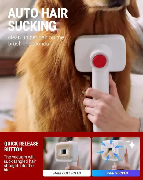 Pet Hair Vacuum and Grooming - In Paw Store