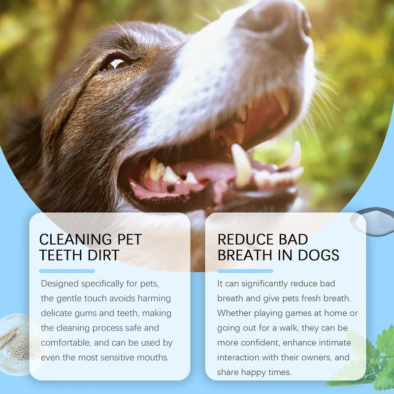 Pet Toothbrush Pen - In Paw Store