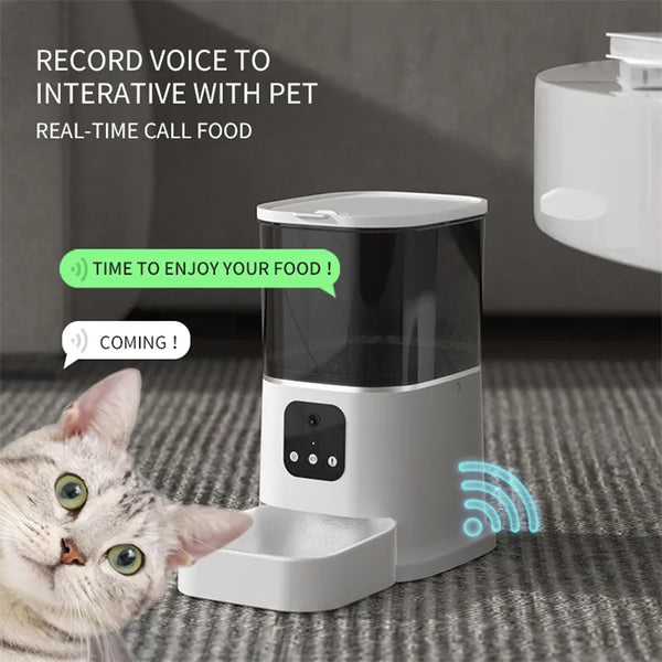 Smart Pet Feeder - In Paw Store