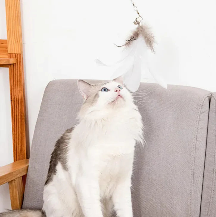 Cat Strong Suction Cup Rod - In Paw Store