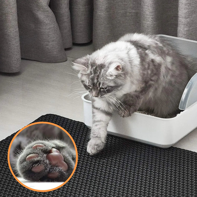 Double Layer Cat Litter Mat, EVA Material - In Paw Store