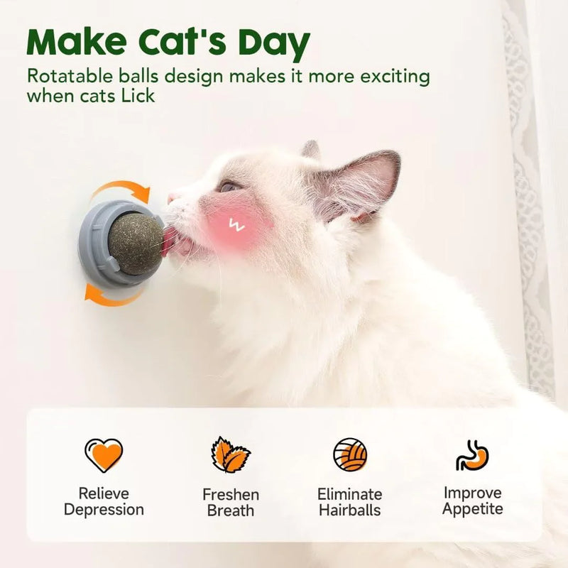 Edible Catnip & Silvervine Ball Toy Set (4 Pcs)
