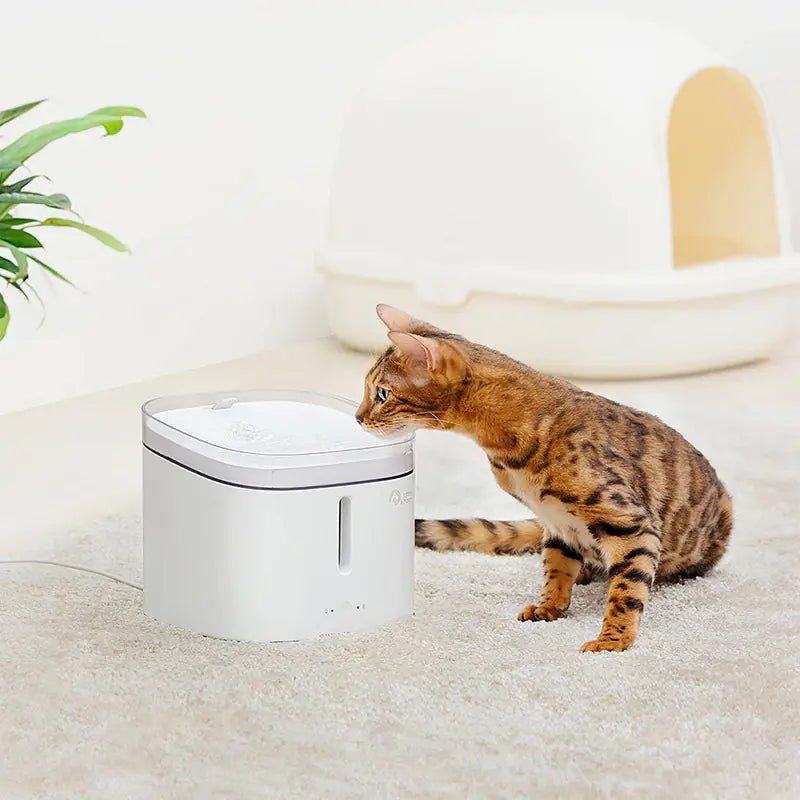 Xiaomi Pet Water Dispenser - In Paw Store