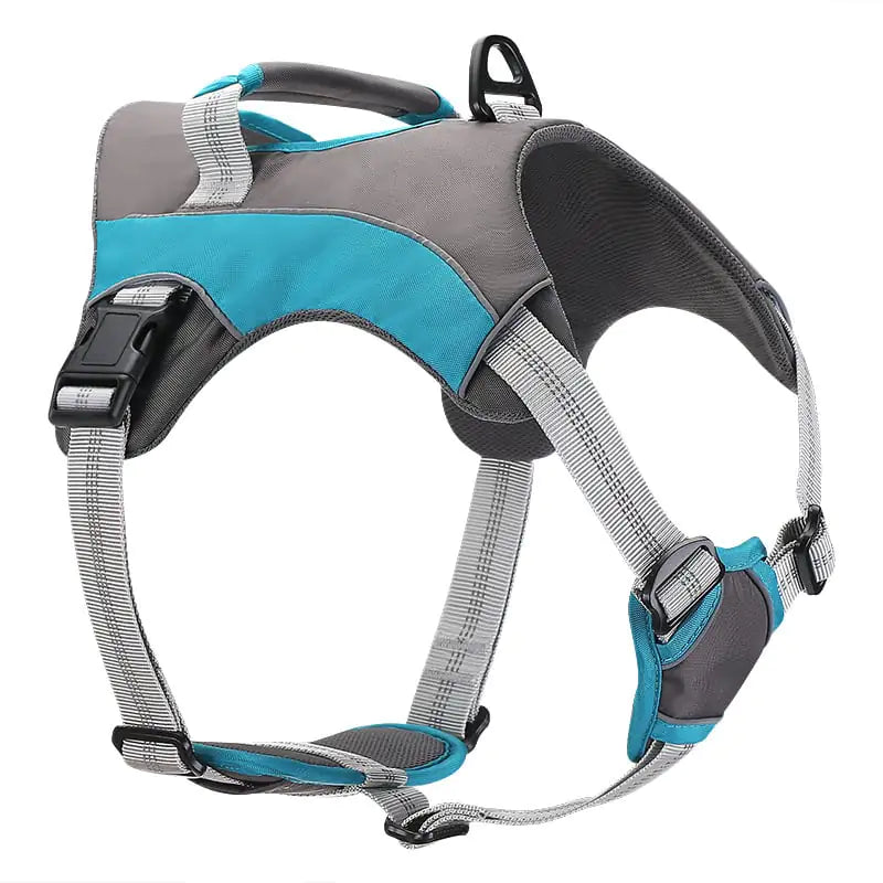Dog Leashes and Chest Straps - In Paw Store