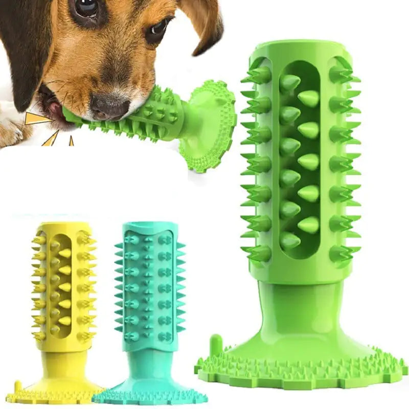 Dog Toothbrush Sucker