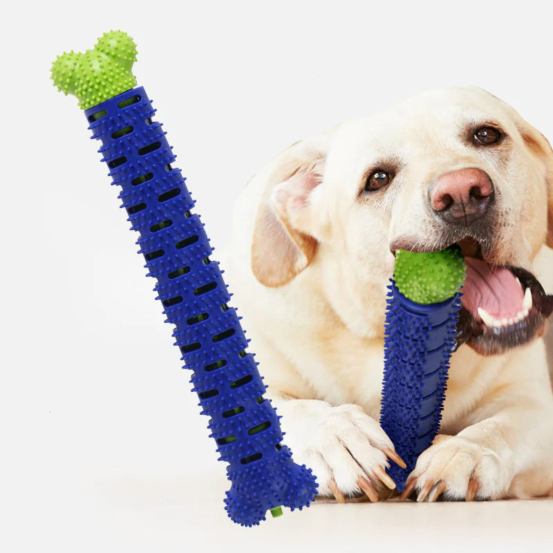 Chew Toy with Toothbrush