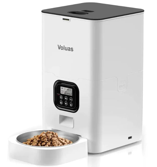 Intelligent Automatic Double Meal Pet Feeder (4L & 6L, Various Colors & Styles) - In Paw Store