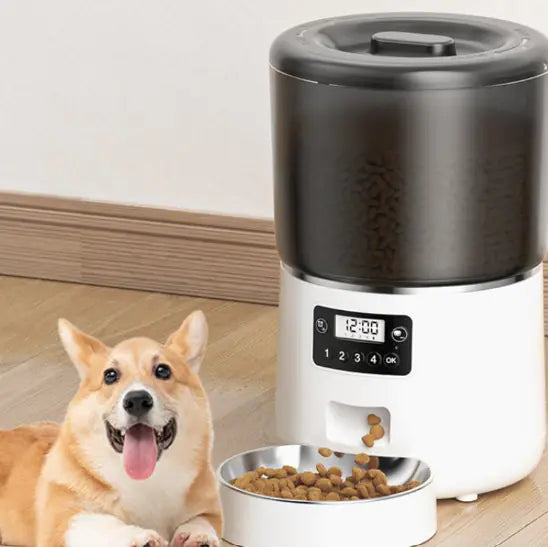 Smart Automatic Pet Feeder (4L) - In Paw Store