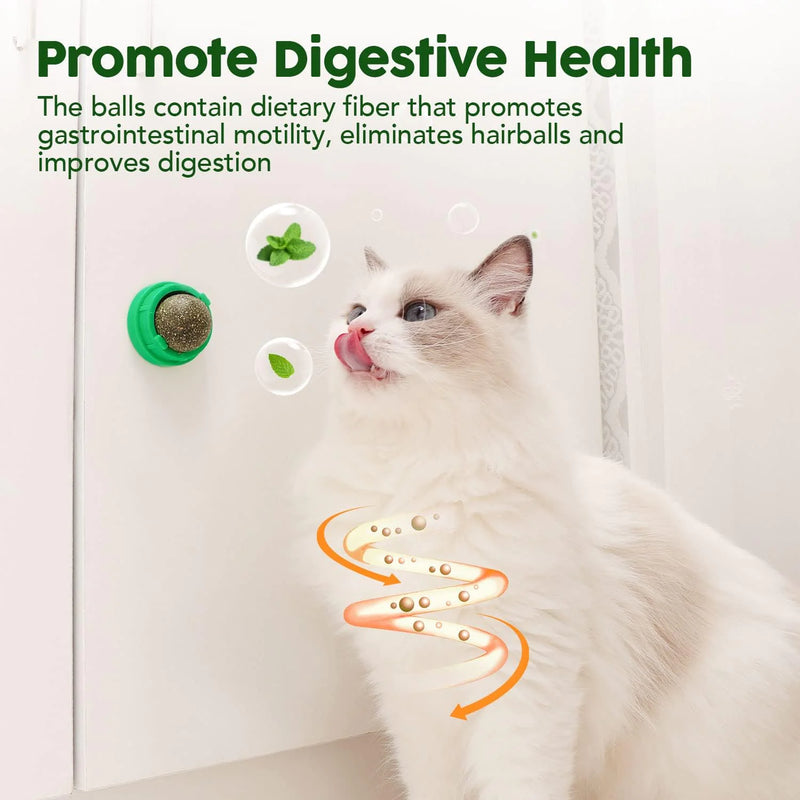 Edible Catnip & Silvervine Ball Toy Set (4 Pcs)