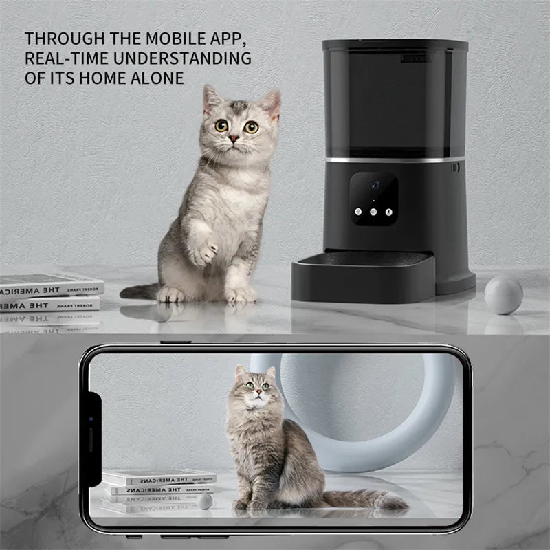 Smart Pet Feeder - In Paw Store