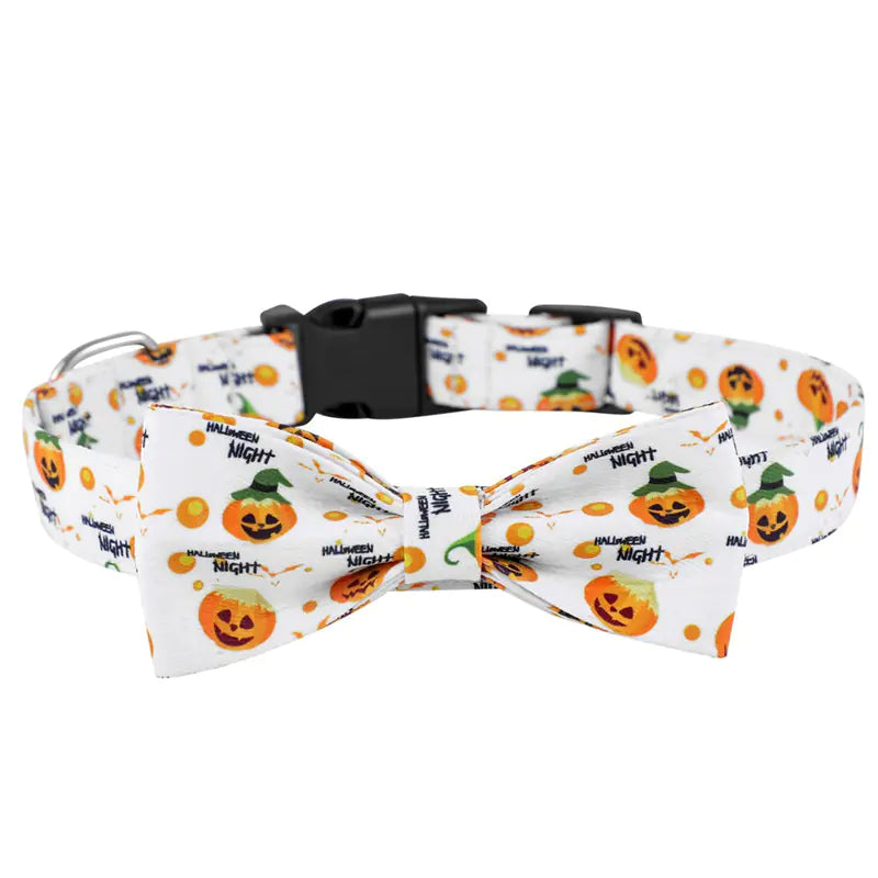 Dog Collars for Your Pets - In Paw Store