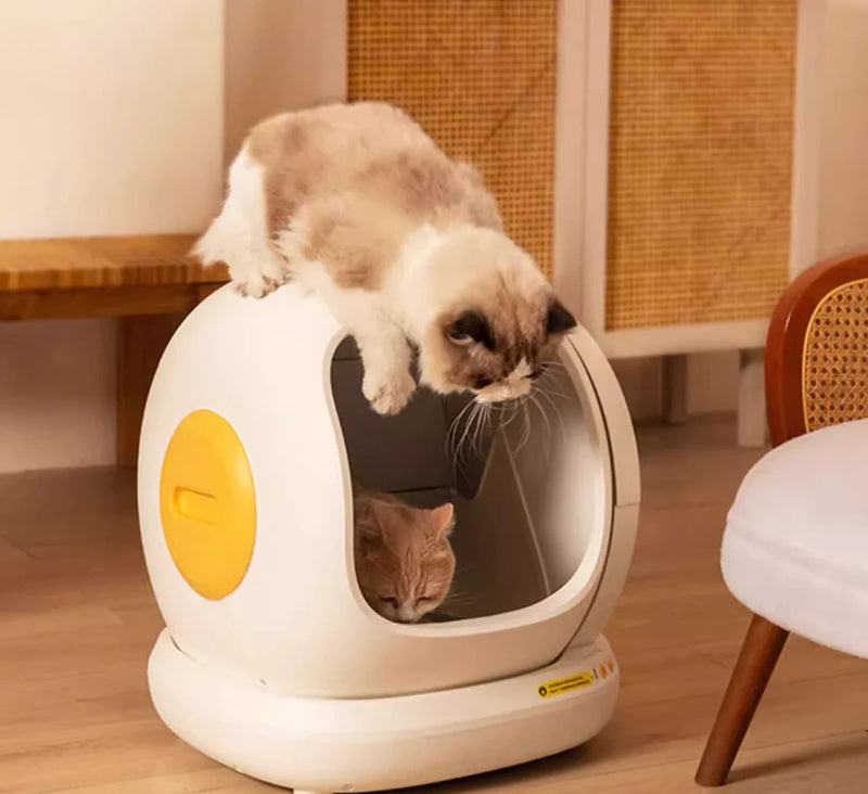 Fully Automatic Cat Litter Box Oversized - In Paw Store