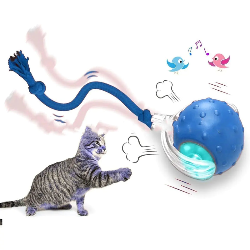 Interactive Cat Toy Ball - In Paw Store