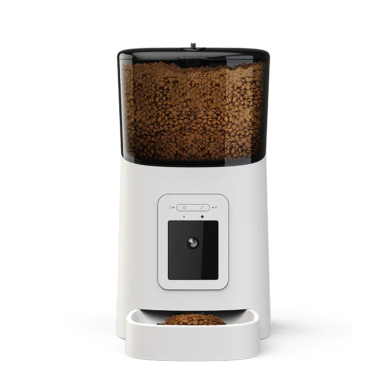 Automatic Pet Feeder - In Paw Store