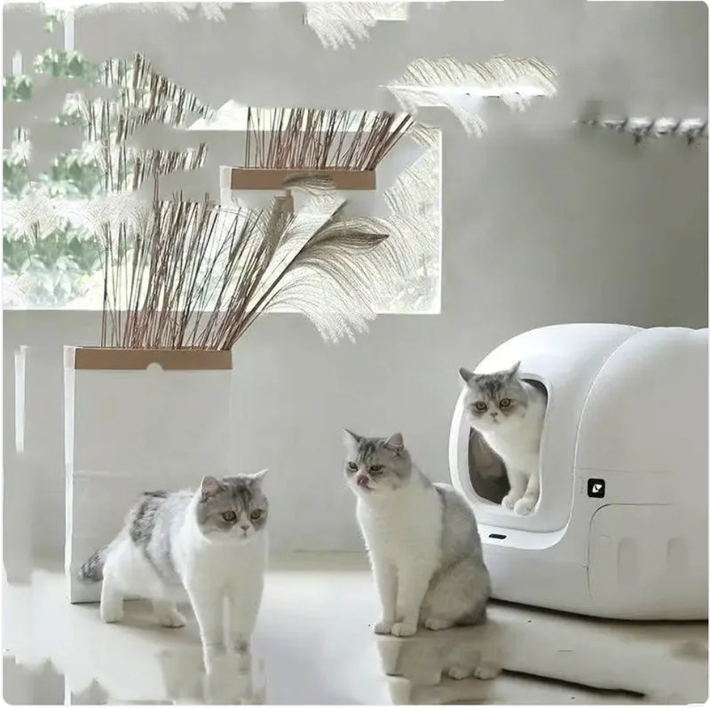 Smart MAX Automatic Cat Litter Box - In Paw Store