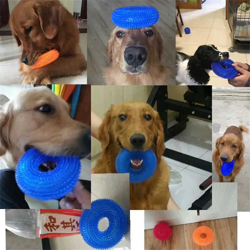 Interactive Bite-Resistant Dog Chew Toys for Training - In Paw Store