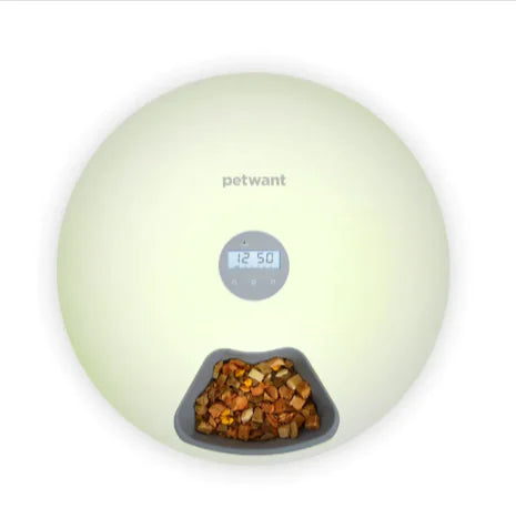 Automatic Pet Feeder for Cats & Dogs - In Paw Store