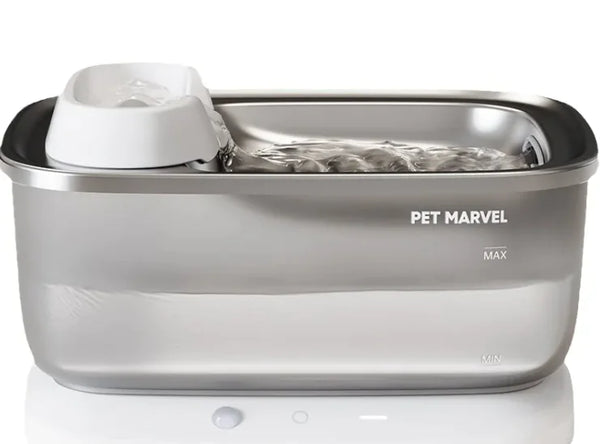 Circulating Pet Water Fountain - In Paw Store
