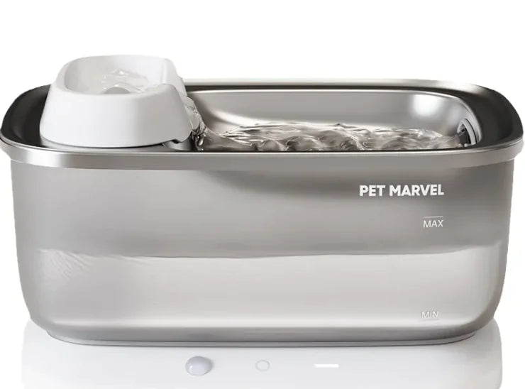 Circulating Pet Water Fountain - In Paw Store