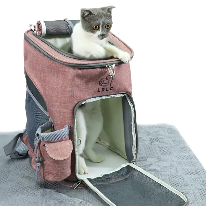 Pet Carrier Bag - In Paw Store