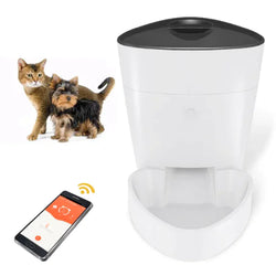 Pet Feeder - In Paw Store