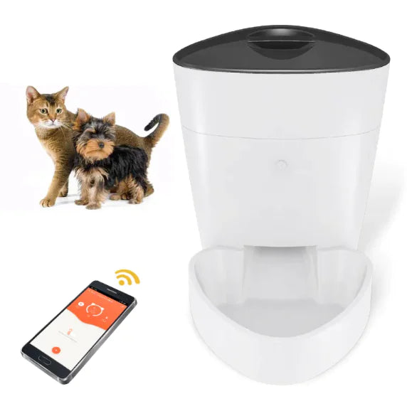Pet Feeder - In Paw Store