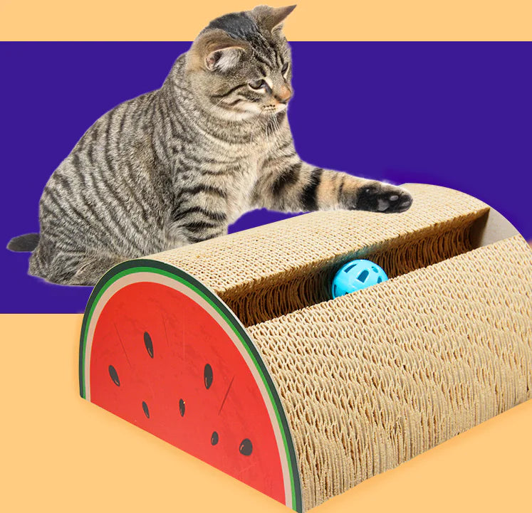 Corrugated Cat Toy - In Paw Store