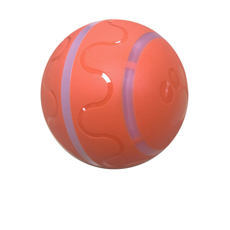 Wicked Ball Toy - In Paw Store