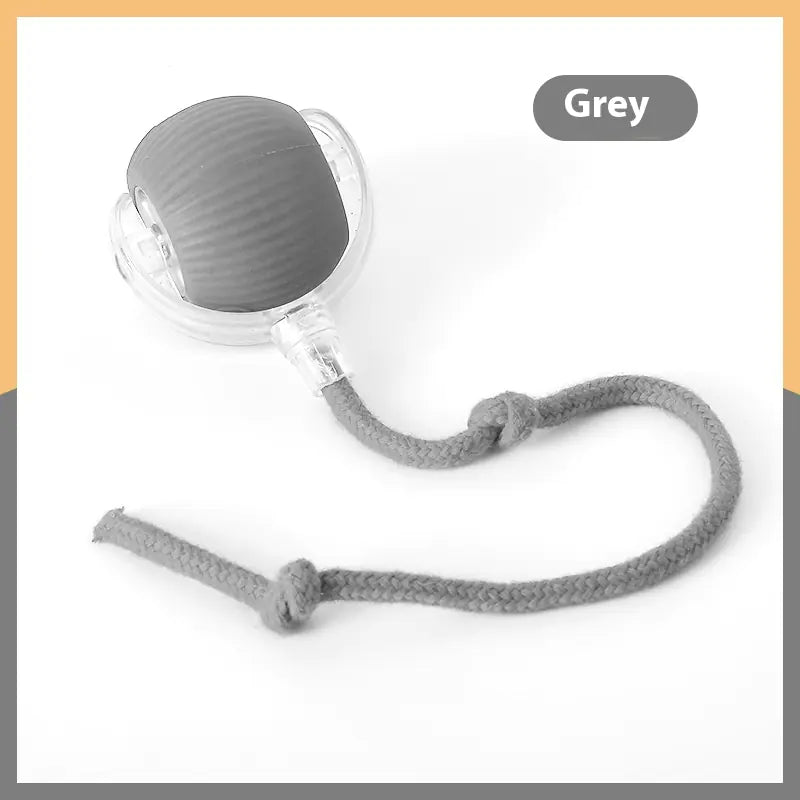 Interactive Cat Toy Ball - In Paw Store