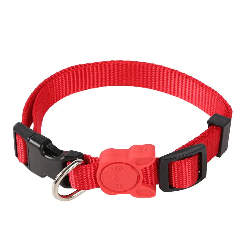 Retractable Dog Leash  Collars - In Paw Store