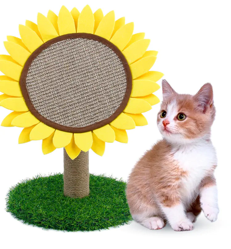 Cat Scratching Pad - In Paw Store
