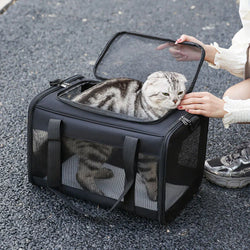 Portable Pet Carrier Bag - In Paw Store