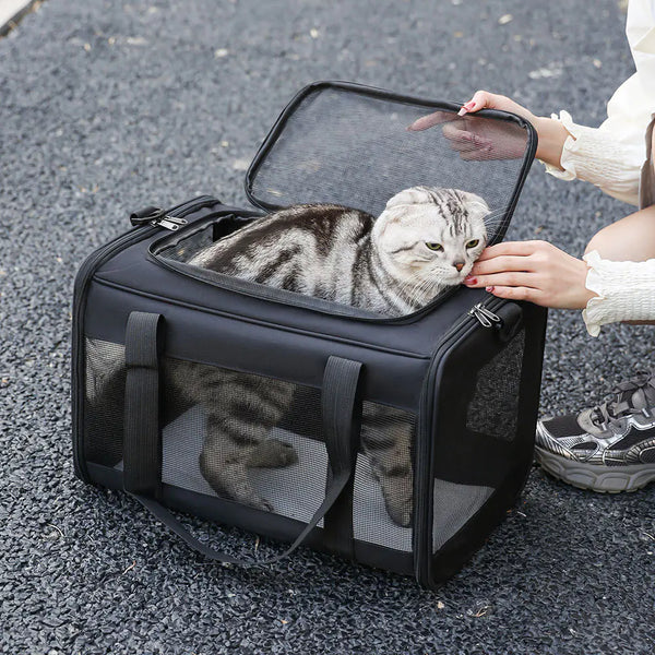 Portable Pet Carrier Bag - In Paw Store