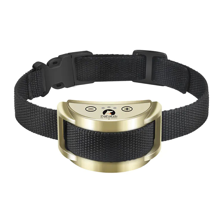 Automatic Voice-Controlled - In Paw Store