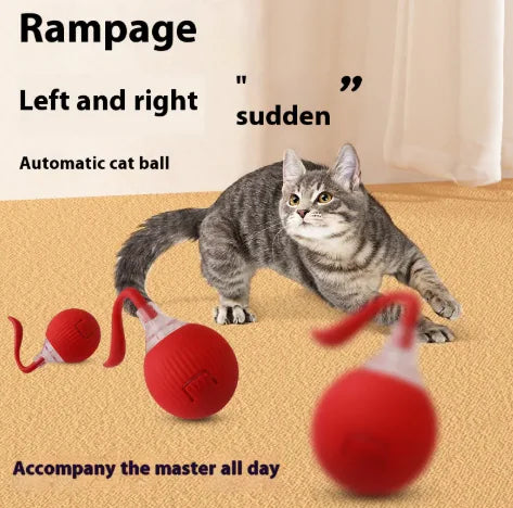 Interactive Cat Toy Ball - In Paw Store