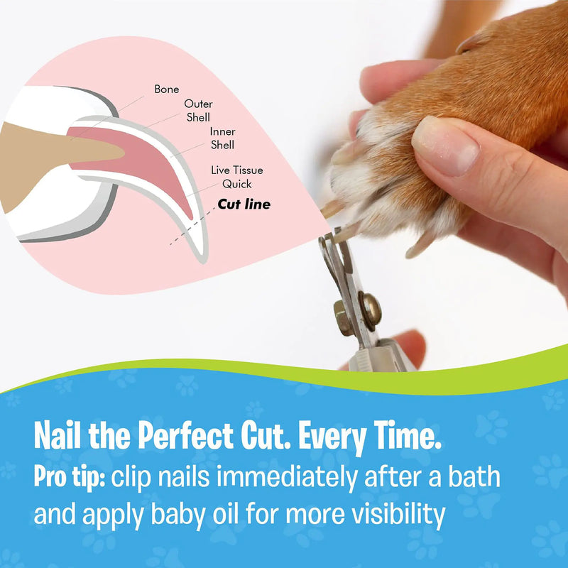Pet Nail Clippers and Trimmers with Safety Guard - In Paw Store