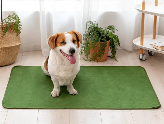 Pet Training Pads - In Paw Store