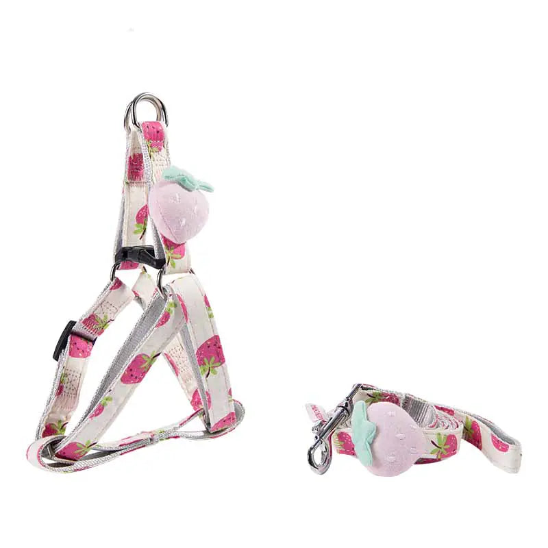 Dog Collars and Leash - In Paw Store